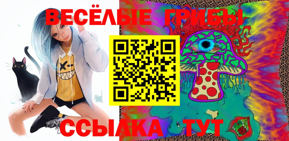 Псилоцибиновые грибы Cubensis  Вход с VPN  Псилоцибиновые грибы Psilocybine cubensis  Кострома 