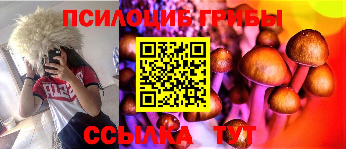 Галлюциногенные грибы прущие грибы Кострома